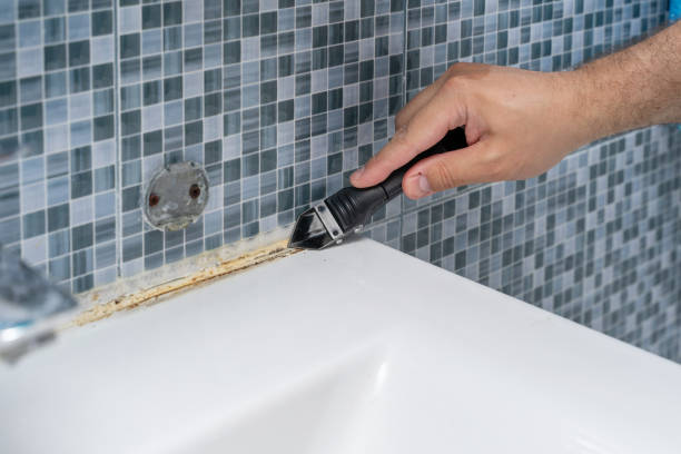 Best Mold Removal Process  in Billings, MT